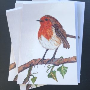 Robin card 2019
